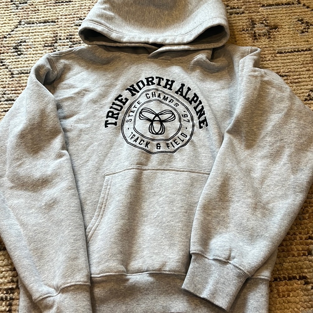 aritzia hoodie